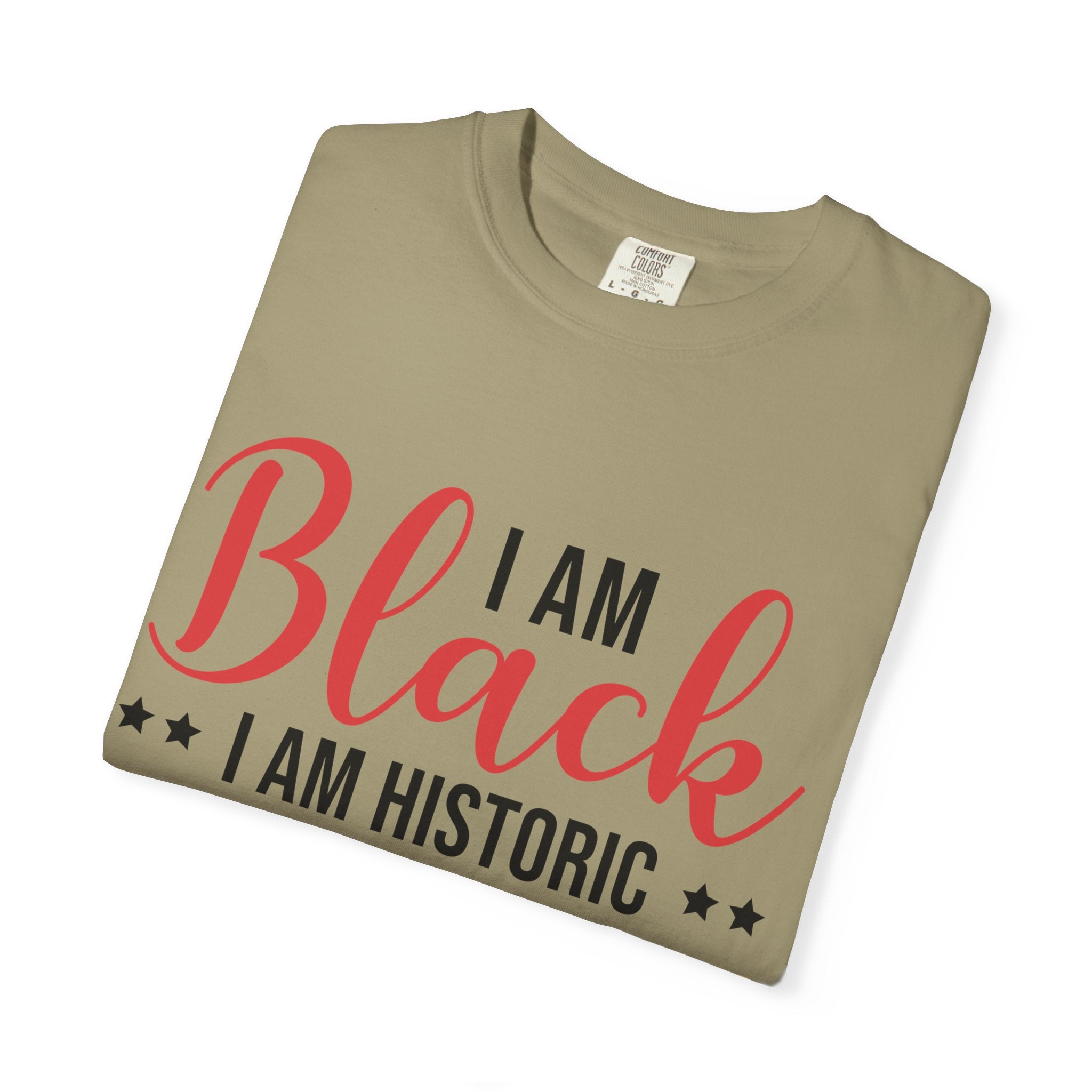 Black Excellence Everyday T-shirt